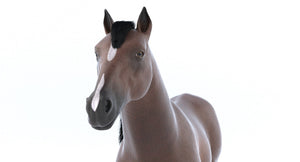 Brown Horse 3D Model V-Ray Thumbnail