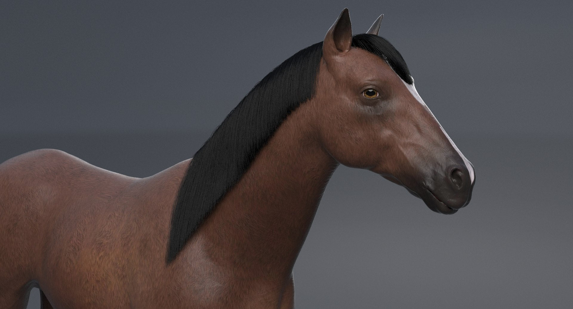 Brown Horse 3D Model V-Ray