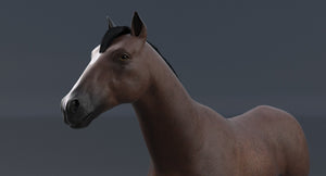 Brown Horse 3D Model V-Ray Thumbnail