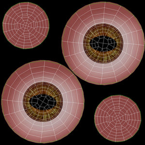 Brown Horse 3D Model V-Ray Thumbnail