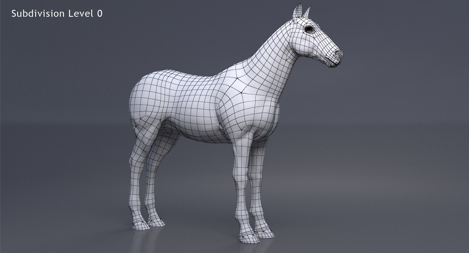 Brown Horse 3D Model V-Ray