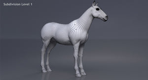 Brown Horse 3D Model V-Ray Thumbnail