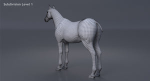 Brown Horse 3D Model V-Ray Thumbnail