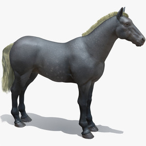 Horse Grey 3D Model Thumbnail