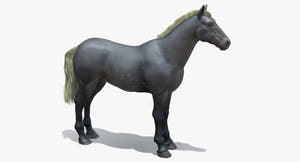 Horse Grey 3D Model Thumbnail