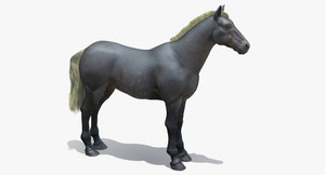 Horse Grey 3D Model Thumbnail