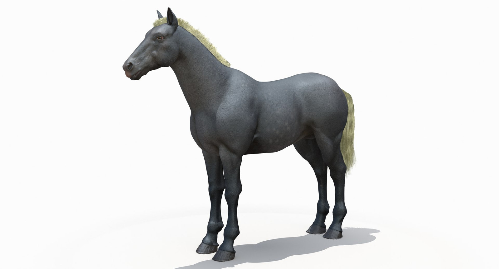 Horse Grey 3D Model