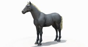 Horse Grey 3D Model Thumbnail