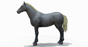 Horse Grey 3D Model Thumbnail