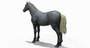 Horse Grey 3D Model Thumbnail