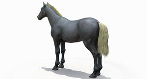 Horse Grey 3D Model Thumbnail