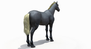 Horse Grey 3D Model Thumbnail