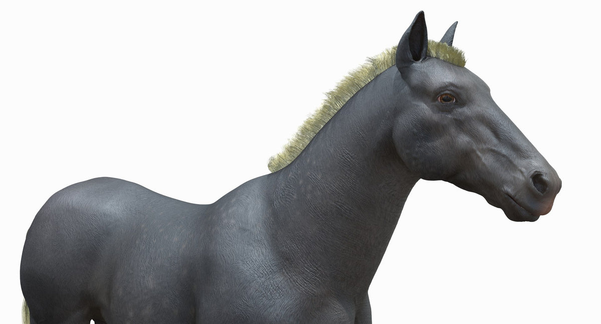 Horse Grey 3D Model
