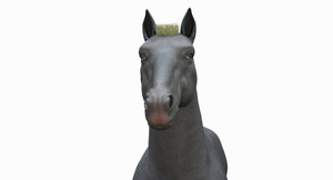 Grey Horse 3D Model for Download Thumbnail