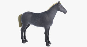 Horse Grey 3D Model Thumbnail