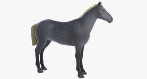 Horse Grey 3D Model Thumbnail