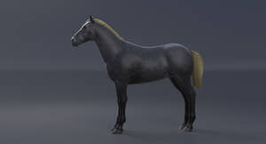 Horse Grey 3D Model Thumbnail