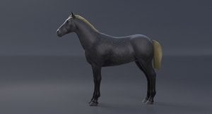 Horse Grey 3D Model Thumbnail