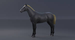 Horse Grey 3D Model Thumbnail