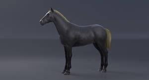 Horse Grey 3D Model Thumbnail