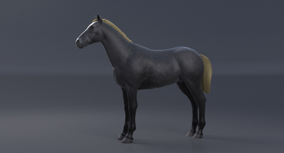 Horse Grey 3D Model