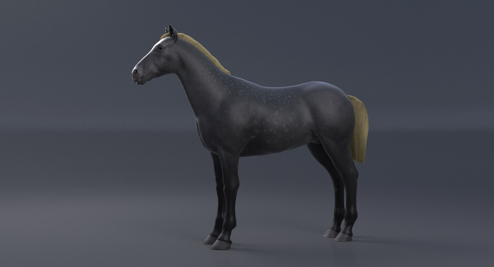 Horse Grey 3D Model