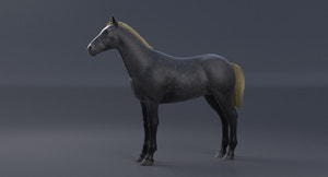 Horse Grey 3D Model Thumbnail