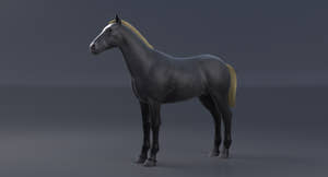 Horse Grey 3D Model Thumbnail