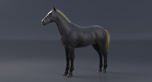 Horse Grey 3D Model Thumbnail