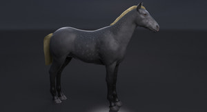 Horse Grey 3D Model Thumbnail