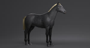 Horse Grey 3D Model Thumbnail