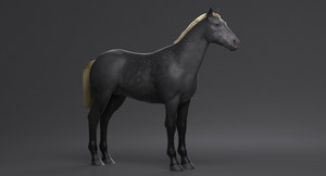 Horse Grey 3D Model Thumbnail