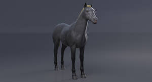 Horse Grey 3D Model Thumbnail
