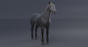 Horse Grey 3D Model Thumbnail