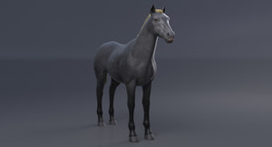 Horse Grey 3D Model Thumbnail