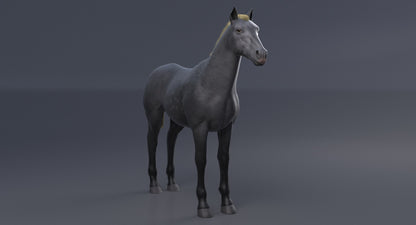 Horse Grey 3D Model