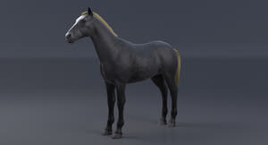 Horse Grey 3D Model Thumbnail
