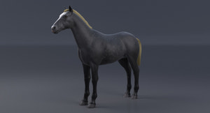 Horse Grey 3D Model Thumbnail