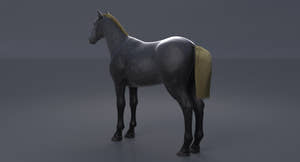 Horse Grey 3D Model Thumbnail