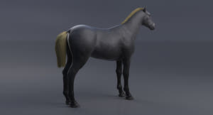 Horse Grey 3D Model Thumbnail