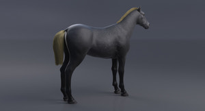 Horse Grey 3D Model Thumbnail