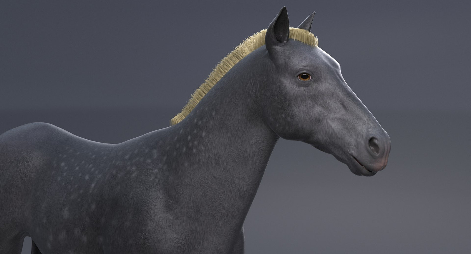Horse Grey 3D Model