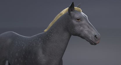 Horse Grey 3D Model