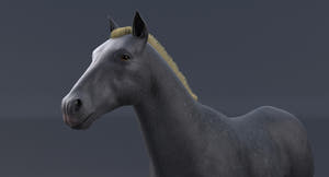 Horse Grey 3D Model Thumbnail