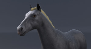 Horse Grey 3D Model Thumbnail