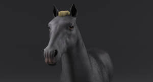 Horse Grey 3D Model Thumbnail