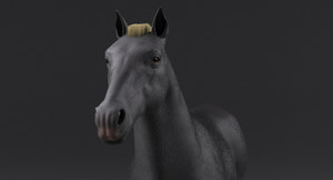 Horse Grey 3D Model Thumbnail