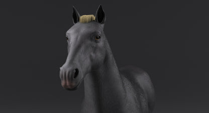 Horse Grey 3D Model