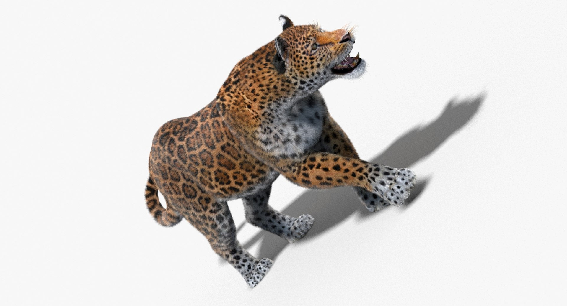 Jaguar Animated Fur 3D Model