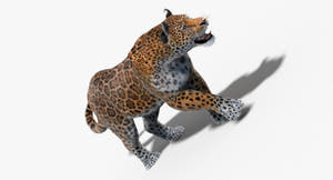 Animated Jaguar 3D Model - Hair and Fur Thumbnail